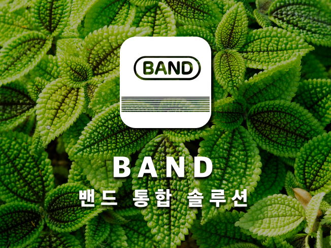 이미지 내용