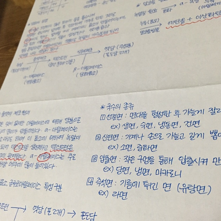 이미지 내용
