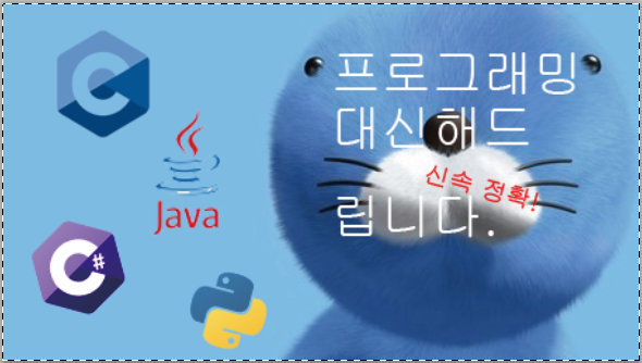 이미지 내용